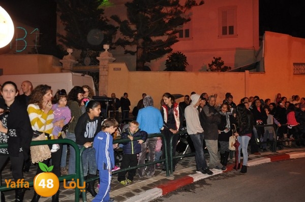 tree light 1208 (20).JPG